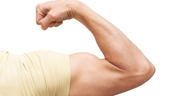 Kol Sağlığı ve Kasları Kol Sağlığı ve Kasları